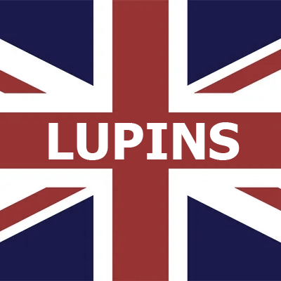 British Lupins